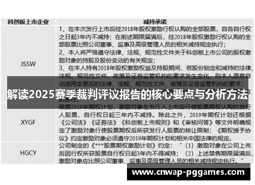 解读2025赛季裁判评议报告的核心要点与分析方法