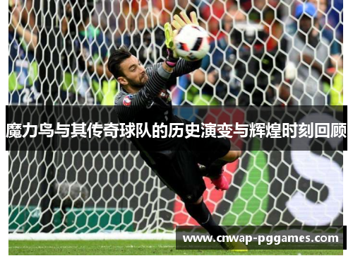 魔力鸟与其传奇球队的历史演变与辉煌时刻回顾