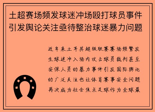 土超赛场频发球迷冲场殴打球员事件引发舆论关注亟待整治球迷暴力问题 土超赛场频发球迷冲场殴打球员事件引发舆论关注亟待整治球迷暴力问题
